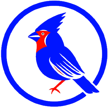 FreeSky